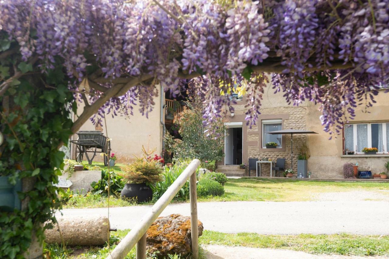 Les Figuets Villa Chateauneuf-de-Galaure Exterior photo